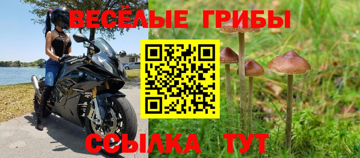 Галлюциногенные грибы Cubensis  Галлюциногенные грибы MAGIC MUSHROOMS  Звенигород  Вход с VPN 